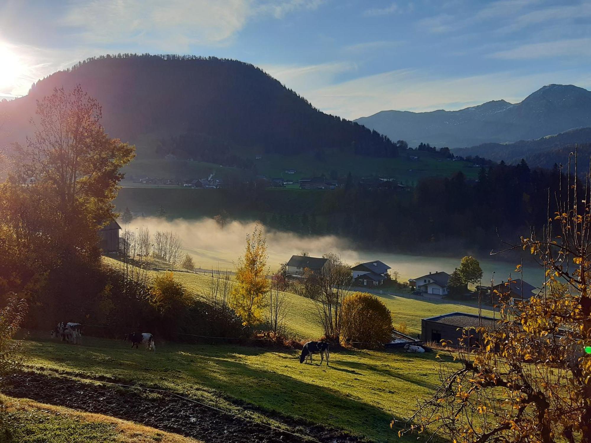 Ferienhof Duerlinde Hittisau Extérieur photo