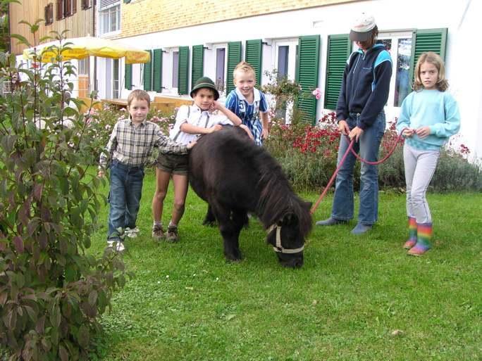 Ferienhof Duerlinde Hittisau Extérieur photo